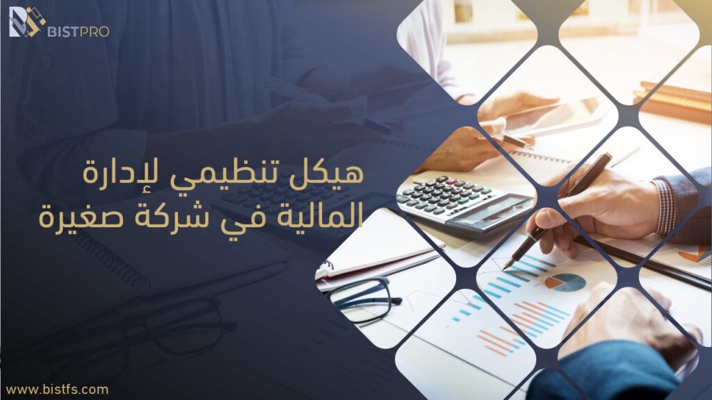 هيكل تنظيمي استشارات مالية